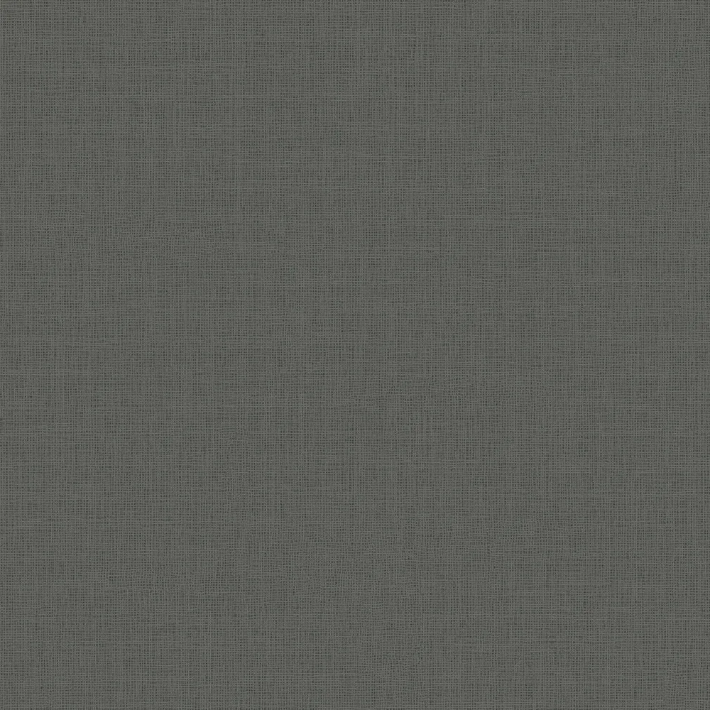 Ngjyra DK.30210-12