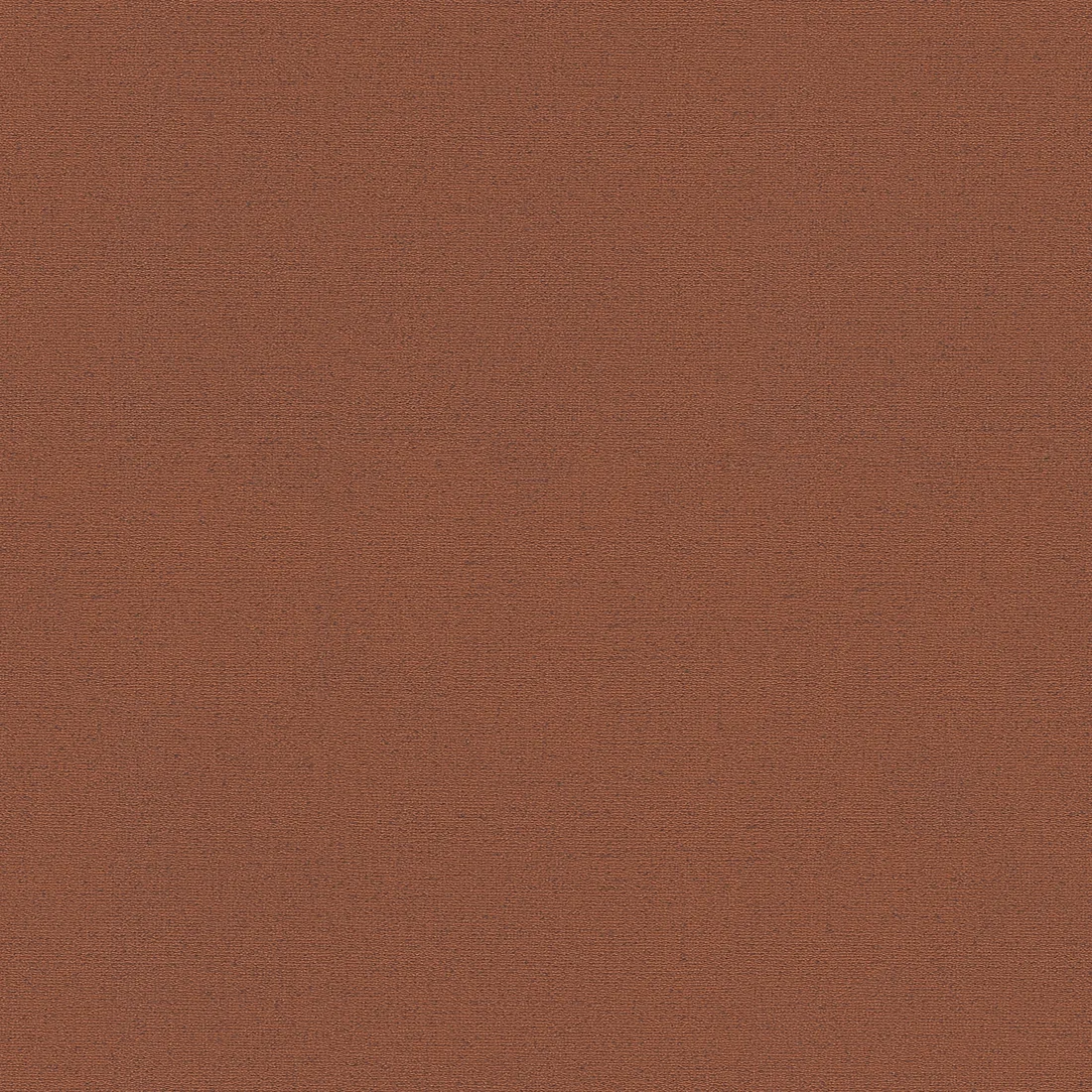 Ngjyra 19350-6
