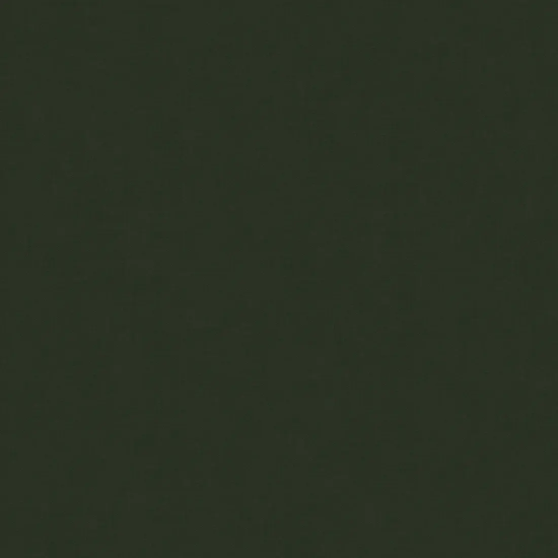 Ngjyra DK.28333-11