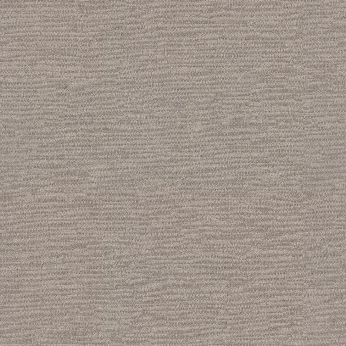 Ngjyra 19350-4