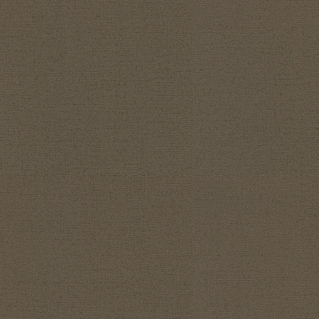 Ngjyra 19350-5